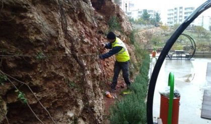 Mta, Mardin'de Bulunan Fosilleri İnceledi