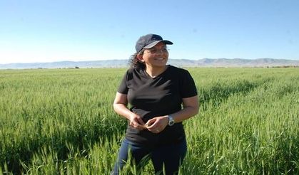 Aşırı Yağışlar Çiftçileri Zorladı