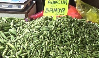 Şanlıurfa’da Bamya Fiyatı Dudak Uçuklattı!