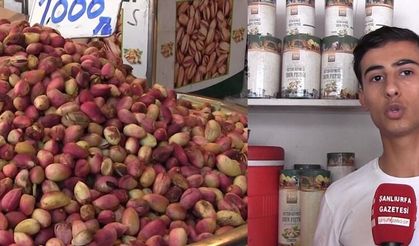Antep Fıstığının Başkenti Şanlıurfa! İşte Çarpıcı Üretim Rakamları