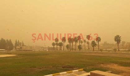 Şanlıurfa’da Toz Yağışı Etkisini Artırdı: Kent Gri Buluta Büründü