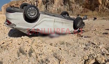 Şanlıurfa-Suruç Yolunda Feci Kaza: Mehmet Olcay Hayatını Kaybetti