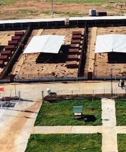 Hayvan Sevgisi Aşılandı: Viranşehir’de Örnek Ziyaret