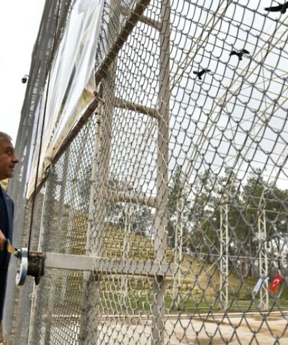 Kelaynaklar Doğaya Salındı