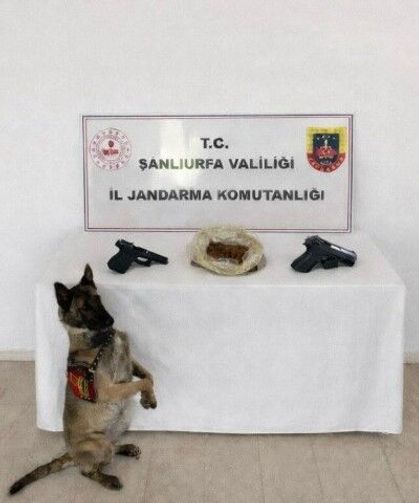 Şanlıurfa Eyyübiye’de Narkotik Suçlara Geçit Yok!