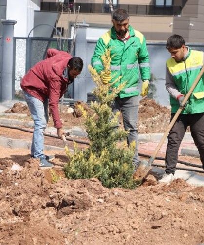 Şanlıurfa Karaköprü Belediyesi’nden Yeşil Alan Hamlesi!