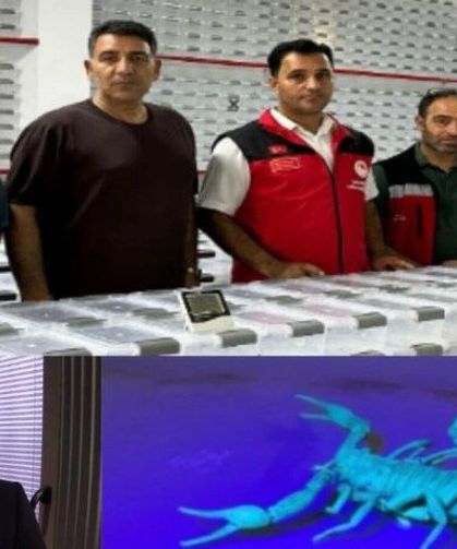 Şanlıurfa Merkezli Bioventec’ten “İğnesiz Botoks” Kremi: Akrep Zehriyle Yeni Dönem İddiası