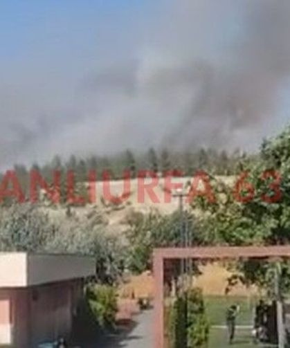 Şanlıurfa GAP Vadisi'nde Yangın! Ekipler Seferber Oldu
