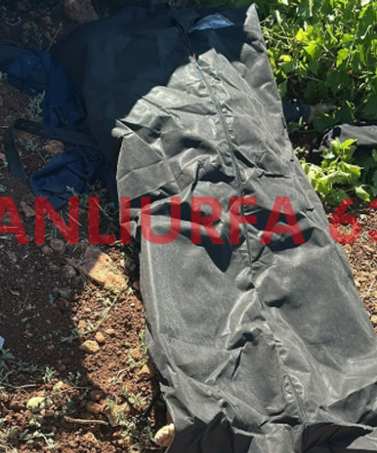 Şanlıurfa’da Feci Kaza! Şarampole Devrilen Araçta 1 Kişi Öldü
