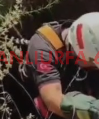 Şanlıurfa'da Nefes Kesen Kurtarma! Koyun Kuyudan Sağ Çıkarıldı!