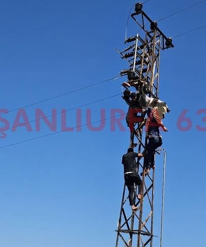 Şanlıurfa’da Elektrik Direğine Çıkan Vatandaş Akıma Kapıldı