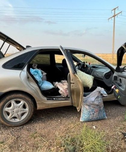 Şanlıurfa’da TİGEM’in Fıstık Bahçesinde 4 Kişi Suçüstü Yakalandı