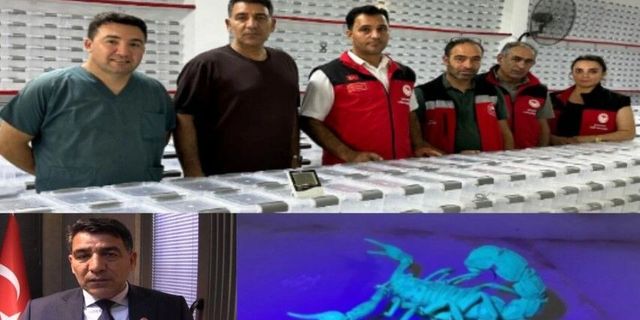 Şanlıurfa Merkezli Bioventec’ten “İğnesiz Botoks” Kremi: Akrep Zehriyle Yeni Dönem İddiası