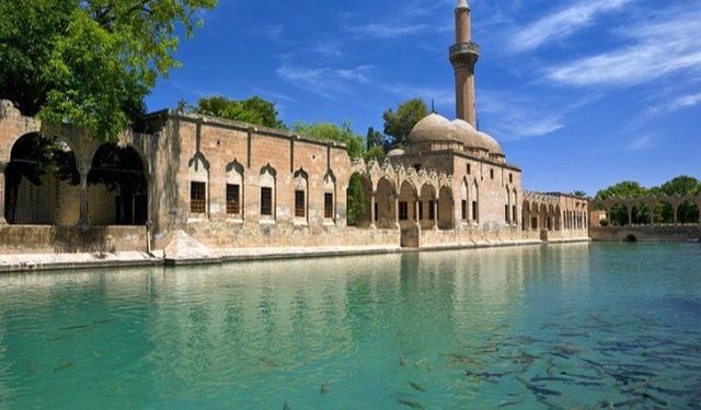 Balıklıgöl'de Tartışma Alevlendi: “Odun Kömürü Balıkların Önüne Geçti