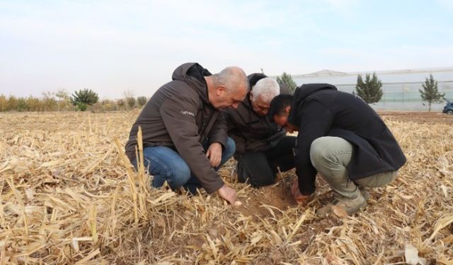 Şanlıurfa'da Hassas Tarım Uygulamaları Güçleniyor!