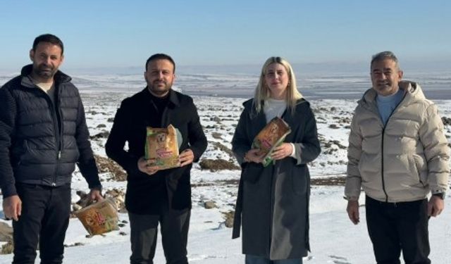 AK Parti Haliliye Teşkilatından Sokak Hayvanlarına Destek