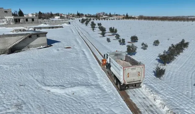 Kar yağışı Şanlıurfa’daki tarım arazilerine şifa oldu