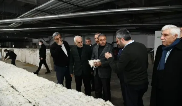 Şanlıurfa OSB’de İnceleme: Vali Şıldak Fabrikaları Ziyaret Etti