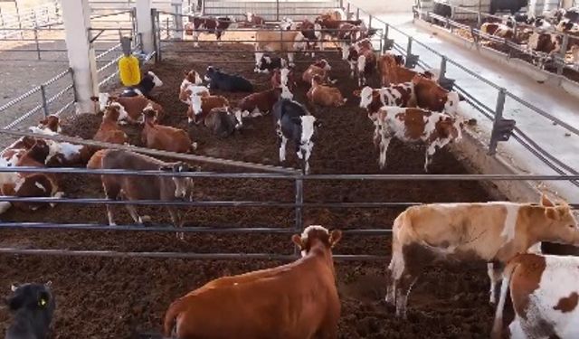 Türkiye’nin en büyük Organize Tarım Bölgesi Şanlıurfa’da büyüyor