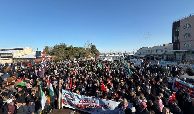 Şanlıurfa’da Filistin’e Destek Yürüyüşü Düzenlendi