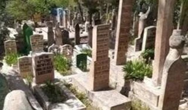 Gülay Hayırlı Çiftçi Hayatını Kaybetti!