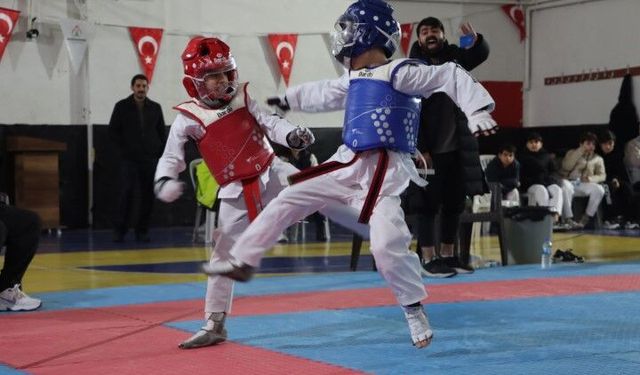 Şanlıurfa Karaköprü’de Taekwondo Turnuvası!