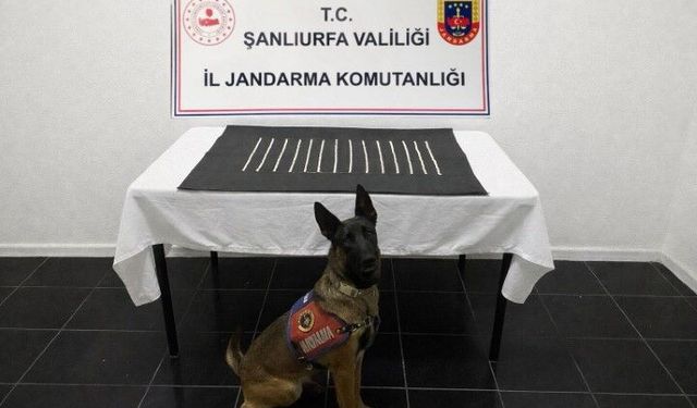 Şanlıurfa’da Uyuşturucu Tacirlerine Jandarma Darbesi