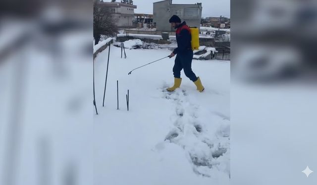 Karla Kaplanan Şanlıurfa’da Dam Temizliği Sosyal Medyayı Salladı