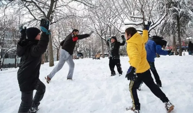 3 Şubat Salı Hakkari'de okul yok mu (HAKKARİ VALİLİĞİ - KAR TATİLİ)? Hakkari okullar tatil mi?