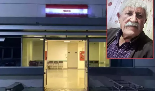 Kan Donduran Cinayet! 76 Yaşındaki Ali Osman Kaya’nın Parçalanmış Bedeni Dere Yatağında, Kesik Başı Ormanda Bul