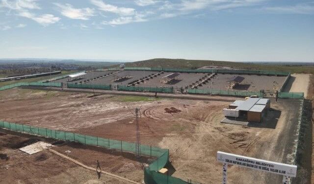 Şanlıurfa’da 27 Bin 960 Sahipsiz Hayvan Bakımevlerine Alındı