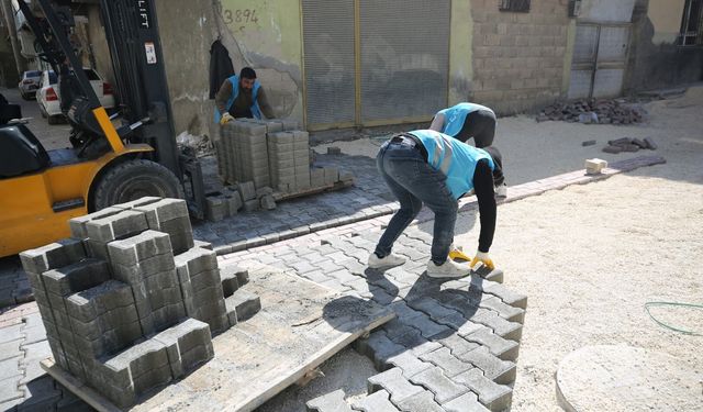 Şanlıurfa Eyyübiye’de Parklarda Peyzaj Çalışmaları Başladı!