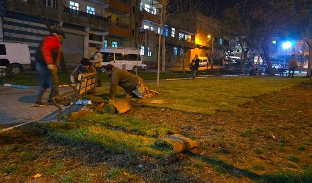 Şanlıurfa’da Parklara Bahar Dokunuşu Gece Devam Ediyor!