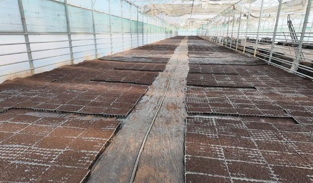 Tarımsal Üretim Kapasitesini Artıran Proje Şanlıurfa’da!