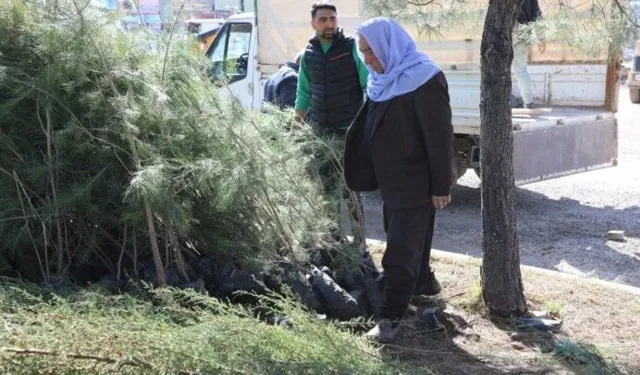 Viranşehir’de Fidanlar Toprakla Buluşuyor!