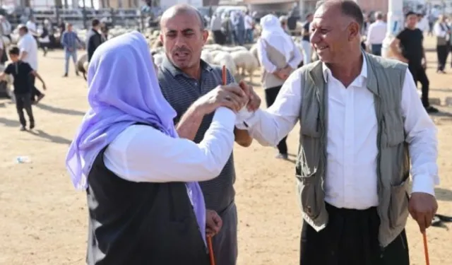Kurban Pazarı Hareketlendi: Şanlıurfa’da Güncel Rakamlar