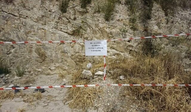 Yol Kenarında Kurban Satana Yasal İşlem Uygulanacak!