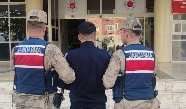 Şanlıurfa’da Hayvan Otlatma Tartışması Cinayetle Sonuçlandı