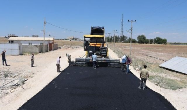 Şanlıurfa Büyükşehir’den Kırsala Dev Yatırım: 17 Kilometrelik Yolda Çalışmalar Hızlandı