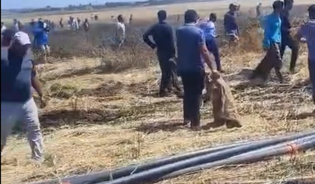 Şanlıurfa’da Tarım Arazisinde Korkutan Yangın