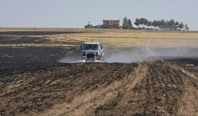 Şanlıurfa Ceylanpınar’da Tarla Yangını Paniği!