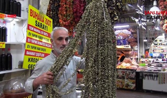 Şanlıurfa’da Çiçek Bamya Sezonu: Fiyatı Cep Yakıyor, Turistler Rağbet Ediyor
