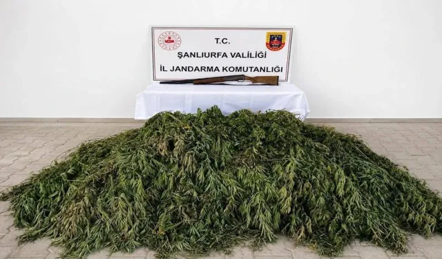 JASAT'tan Bozova'da Uyuşturucu Operasyonu