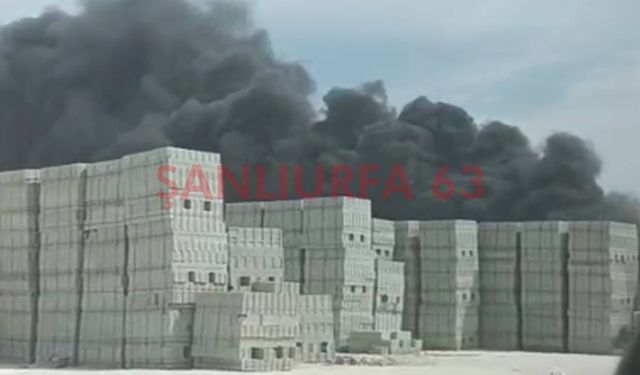 Şanlıurfa’da İş Yerinde Yangın! İtfaiye Ekipleri Müdahale Etti