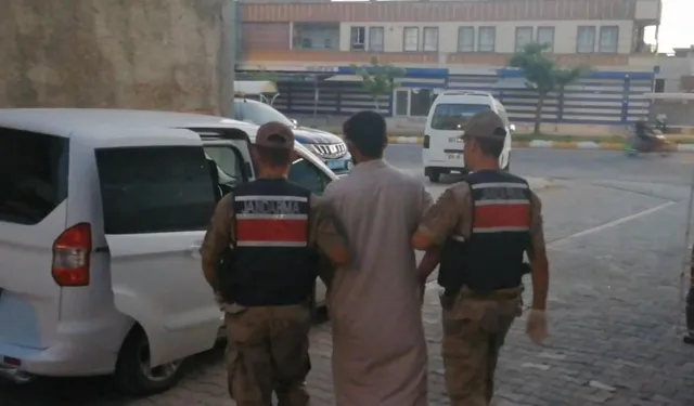 Şanlıurfa’da Aranan Şahıs Jandarma Ekiplerinden Kaçamadı