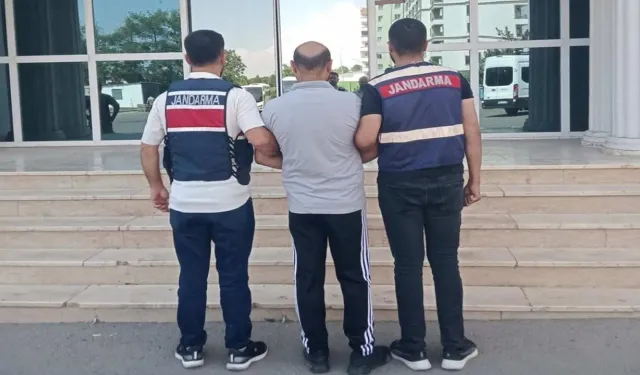 Şanlıurfa’da Jandarmadan Göçmen Kaçakçılığı Operasyonu