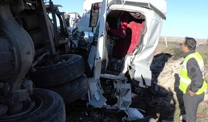 Tır ve kamyon şarampole uçtu