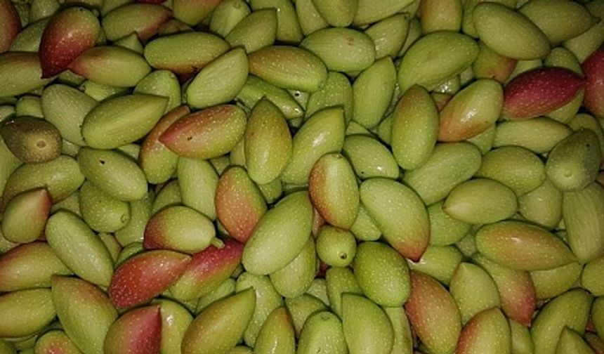 Urfa Fıstığı Reçeli