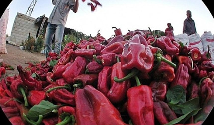 Urfa İsodu'nun 9 Hali