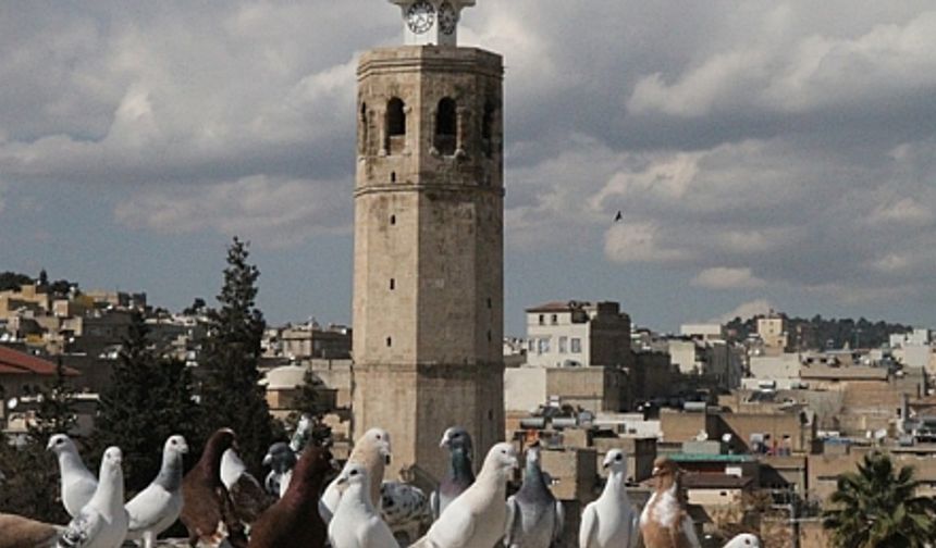 Urfa'nın Şanlı Kuşları